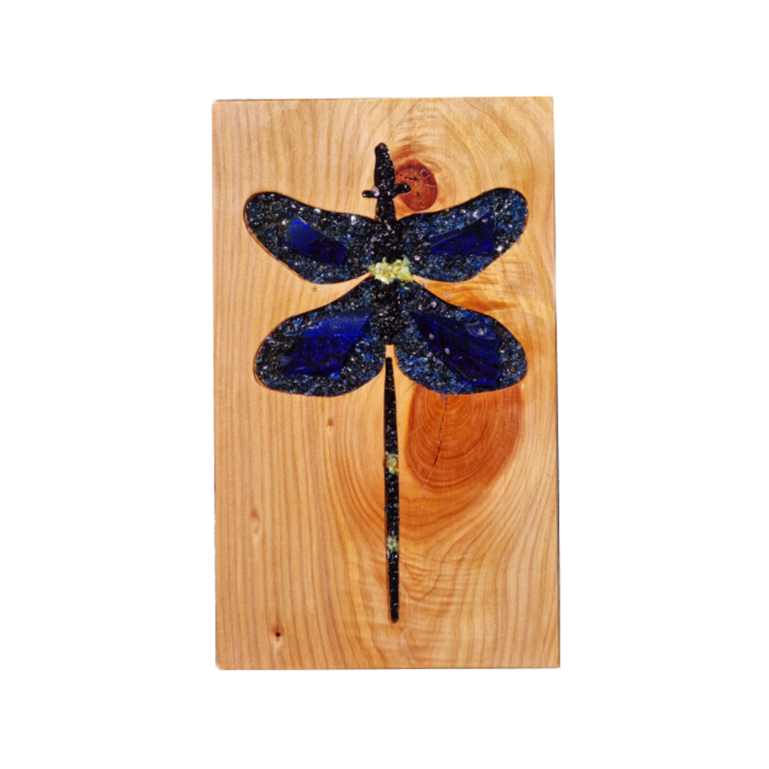 Macrocarpa Dragonfly image 0